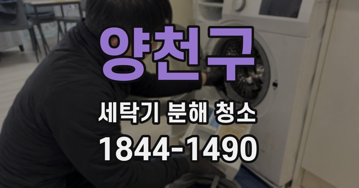 양천구 세탁기 분해 청소