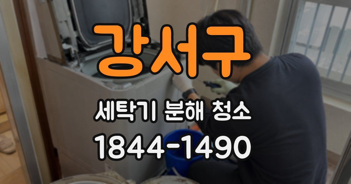 강서구 세탁기 분해 청소