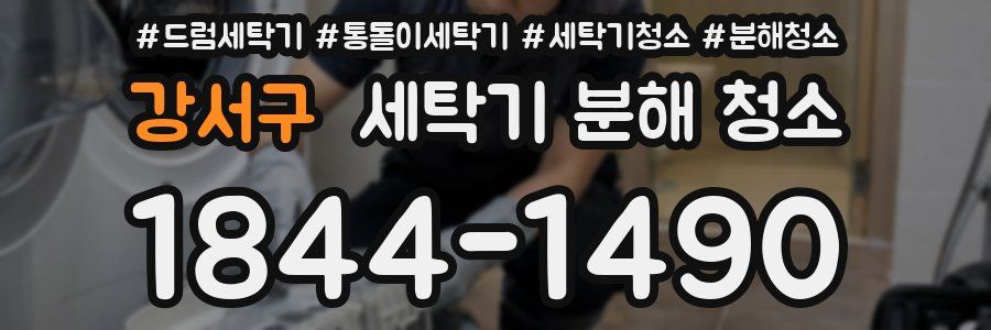 강서구 세탁기 분해 청소