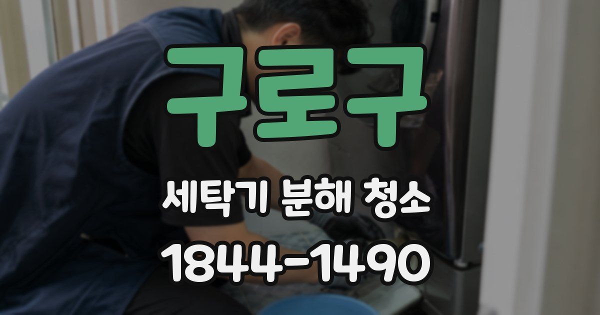 구로구 세탁기 분해 청소