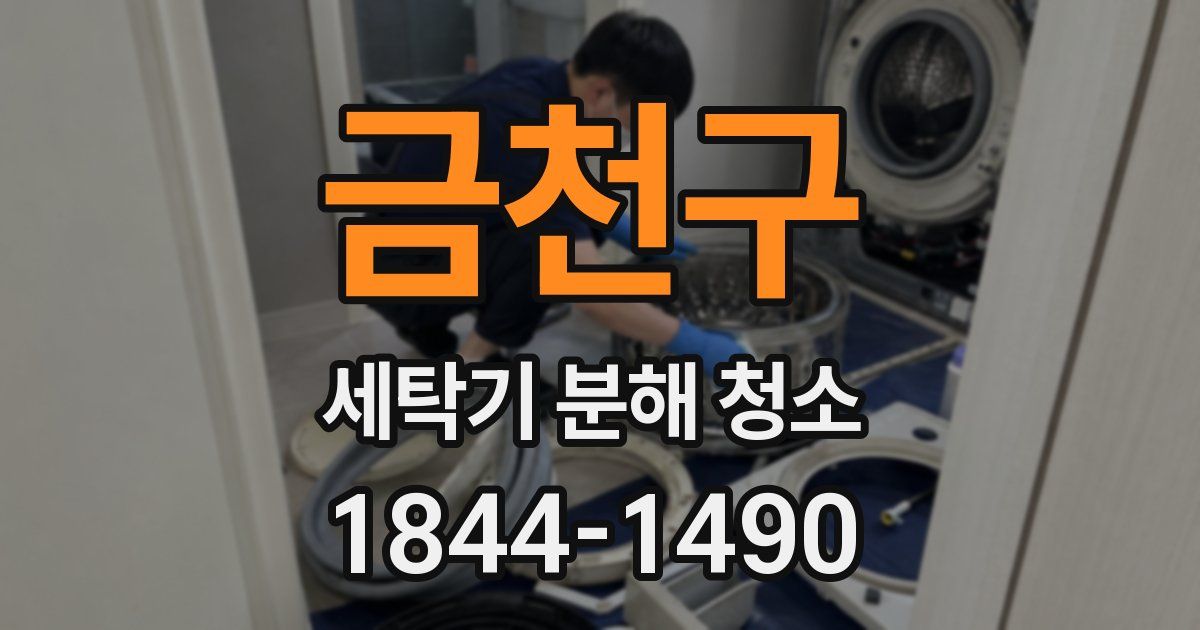 금천구 세탁기 분해 청소
