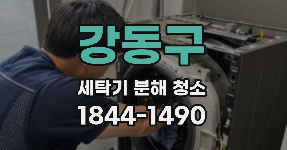 강동구 세탁기 분해 청소