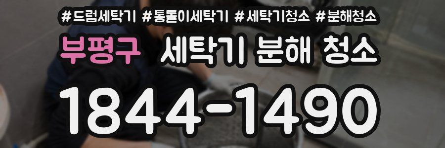 부평구 세탁기 분해 청소