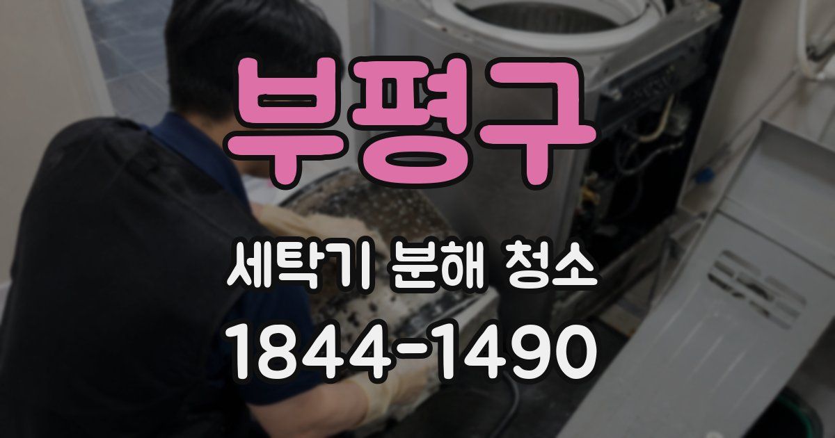 부평구 세탁기 분해 청소