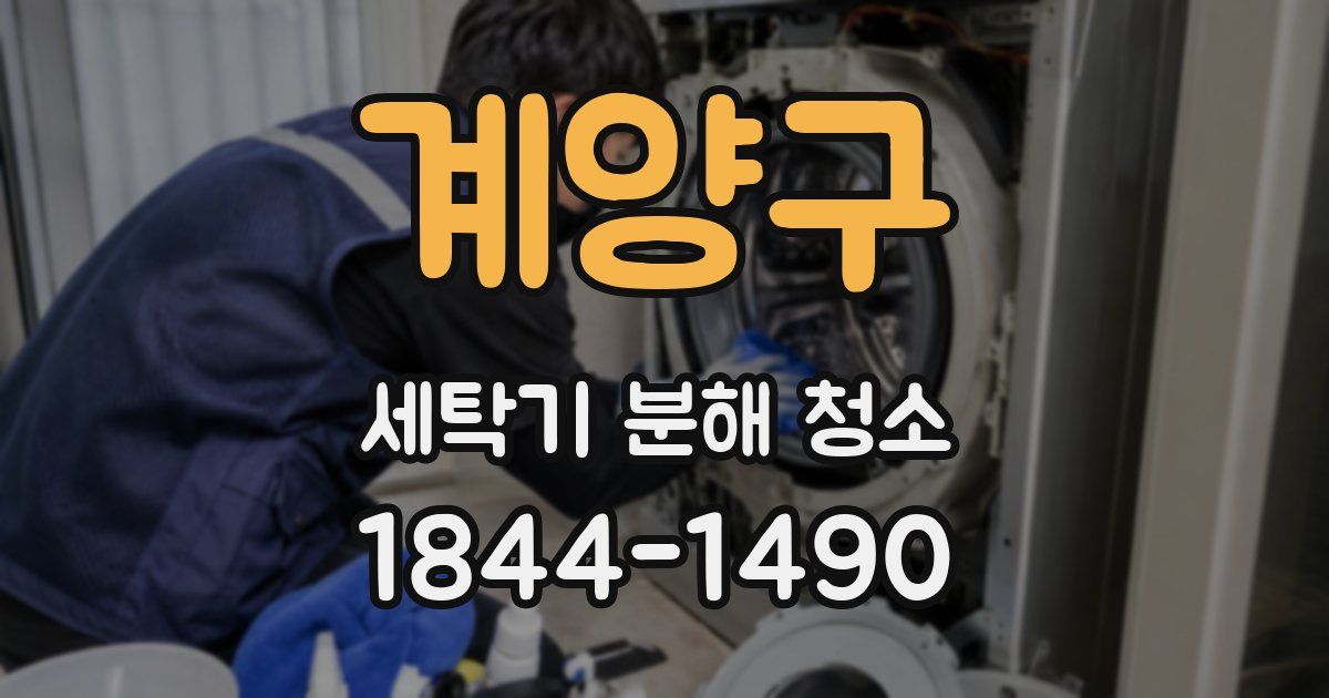 계양구 세탁기 분해 청소