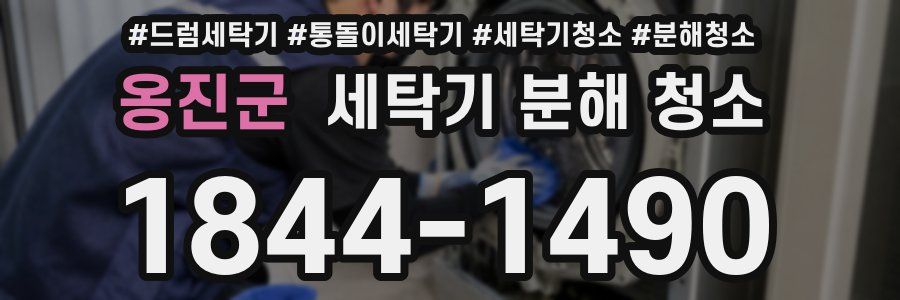 옹진군 세탁기 분해 청소