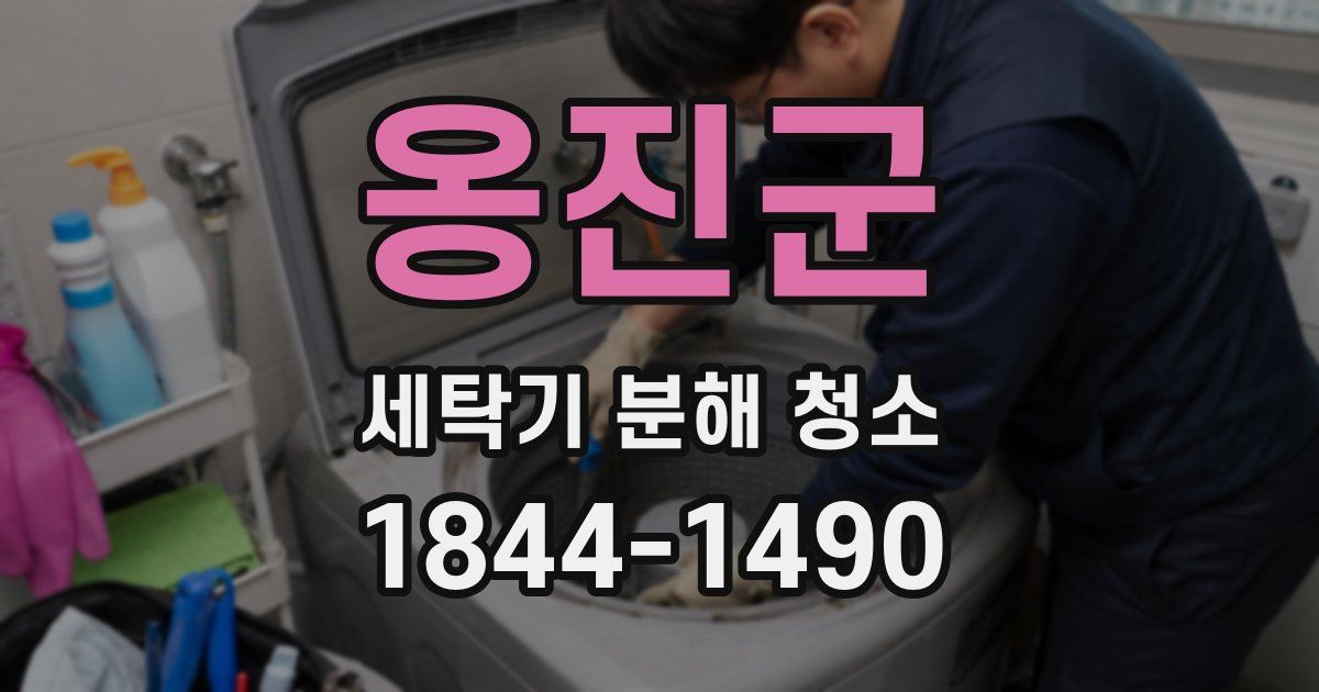 옹진군 세탁기 분해 청소