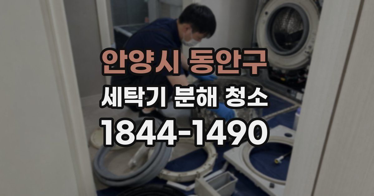 안양시 동안구 세탁기 분해 청소