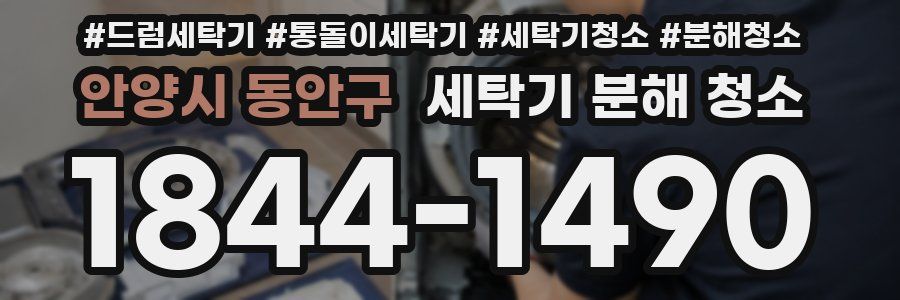 안양시 동안구 세탁기 분해 청소