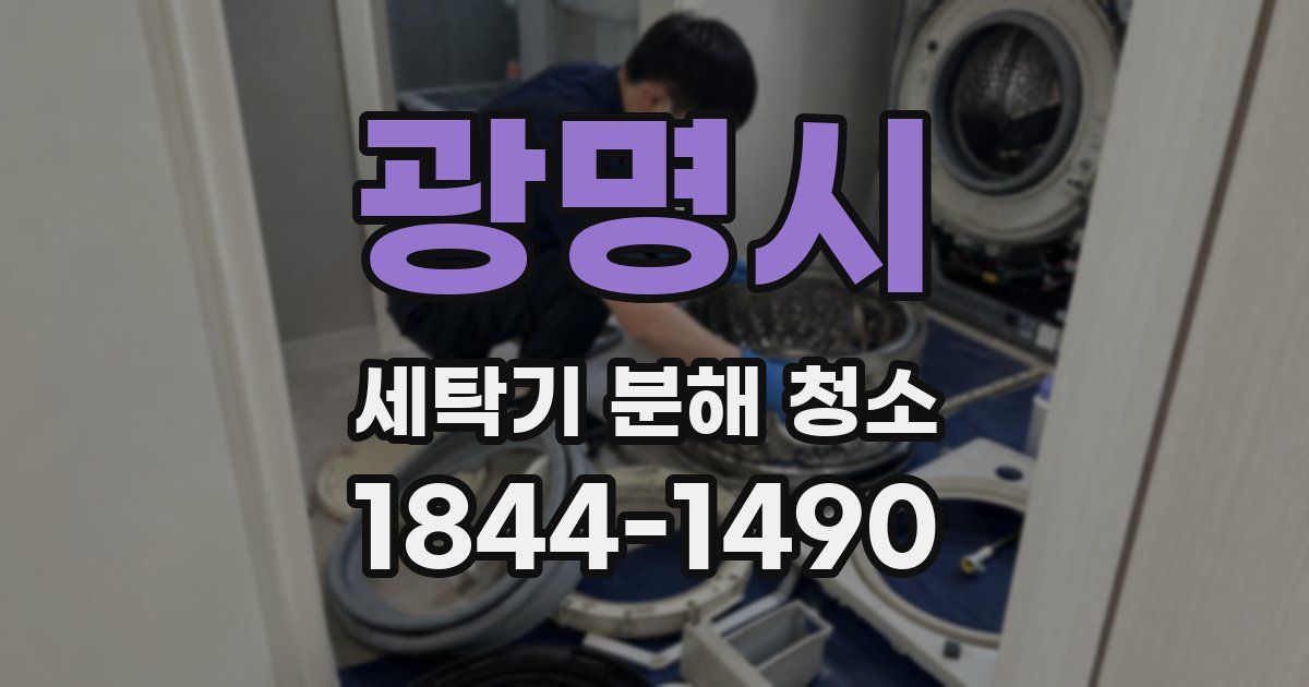 광명시 세탁기 분해 청소