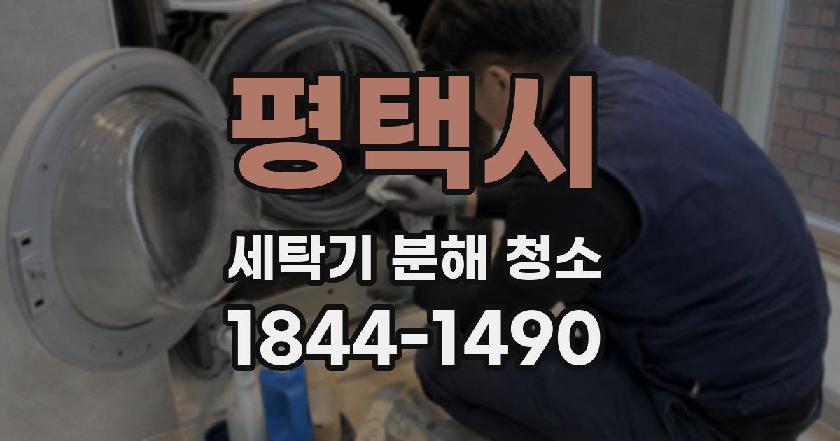 평택시 세탁기 분해 청소