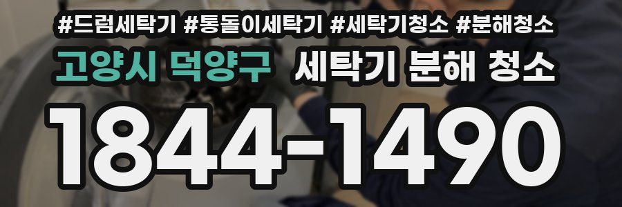 고양시 덕양구 세탁기 분해 청소