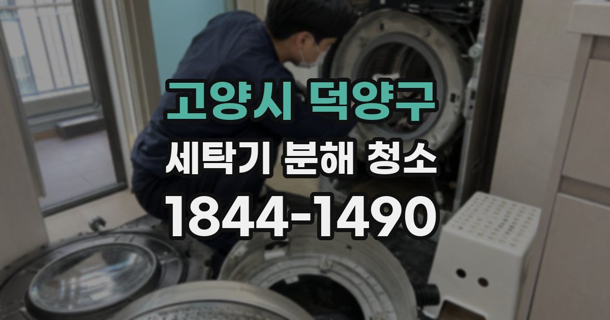 고양시 덕양구 세탁기 분해 청소