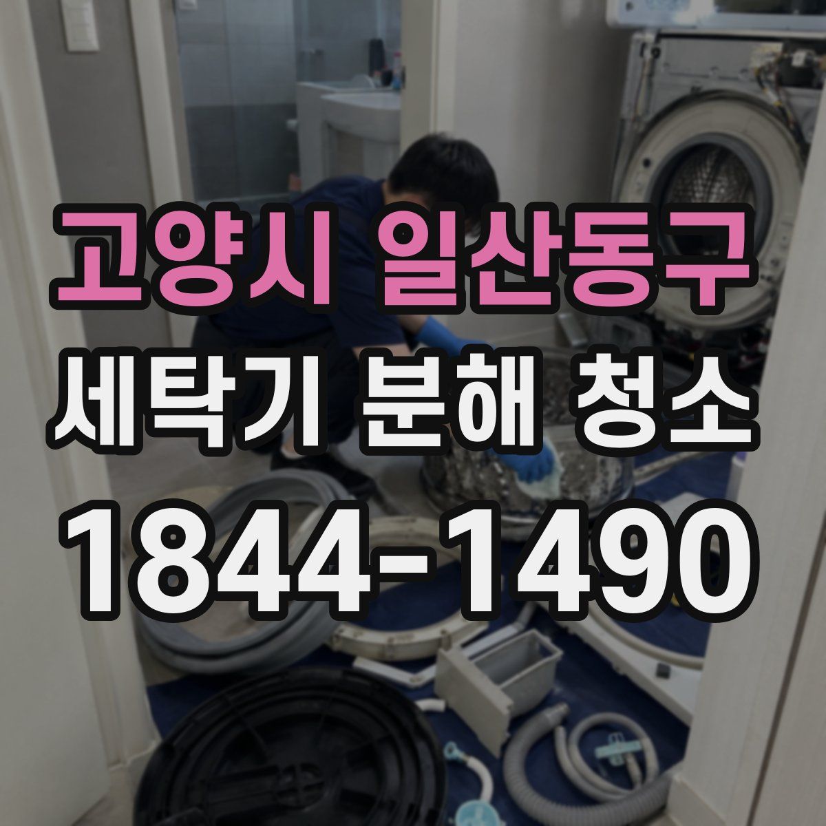 고양시 일산동구 세탁기 분해 청소