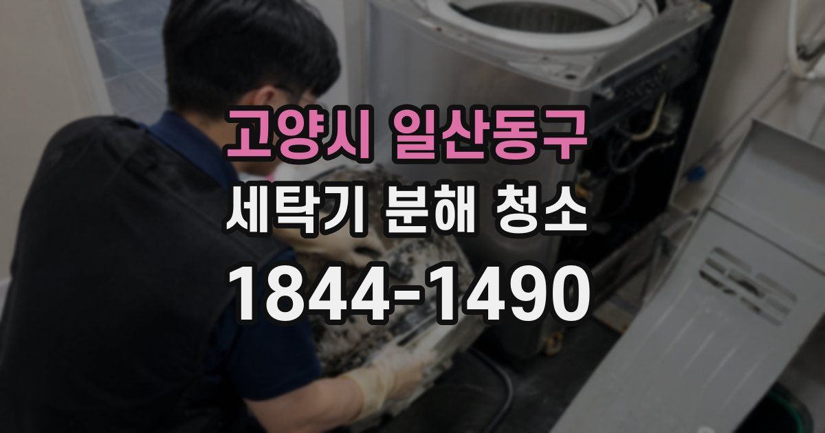 고양시 일산동구 세탁기 분해 청소