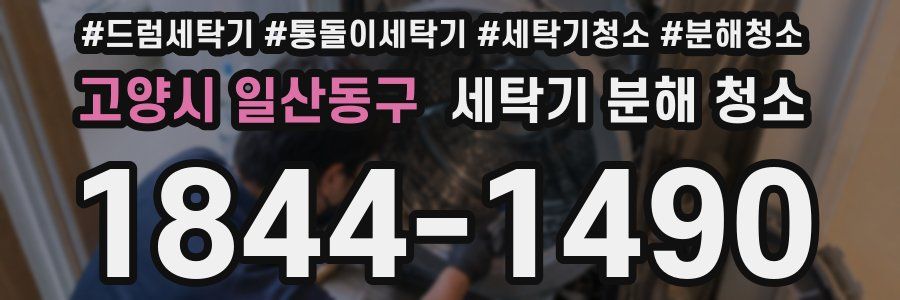 고양시 일산동구 세탁기 분해 청소