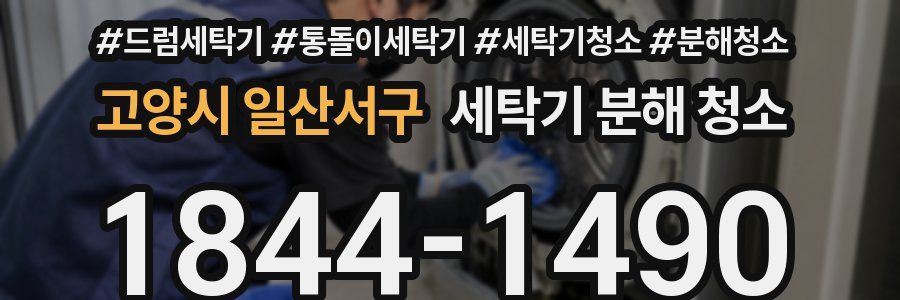 고양시 일산서구 세탁기 분해 청소
