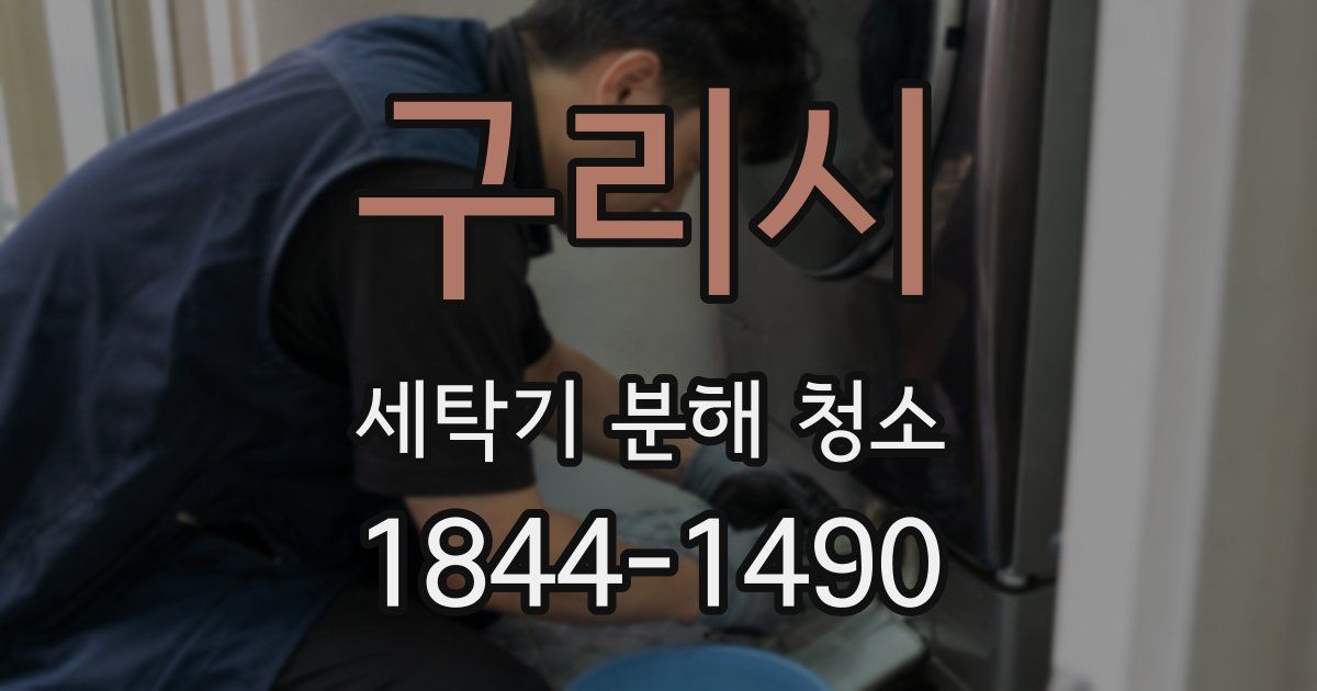 구리시 세탁기 분해 청소