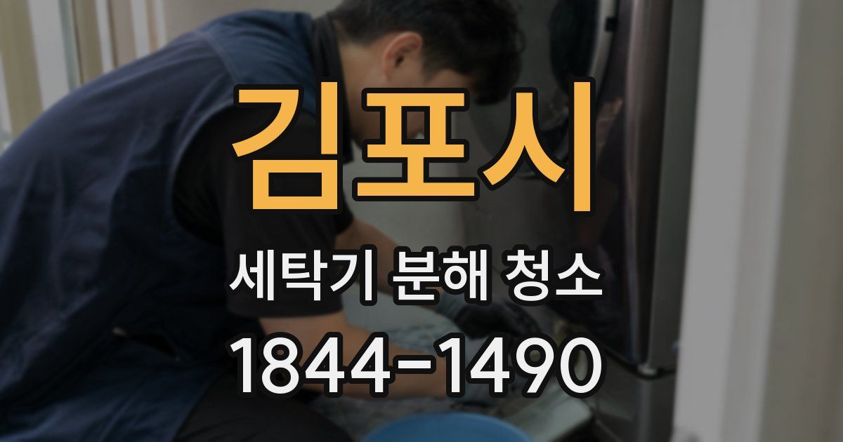 김포시 세탁기 분해 청소