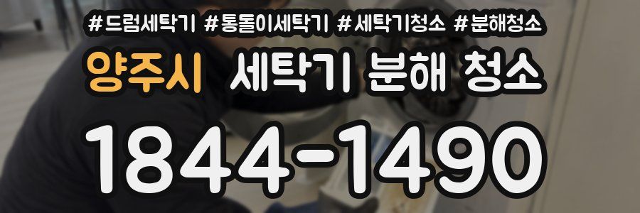 양주시 세탁기 분해 청소
