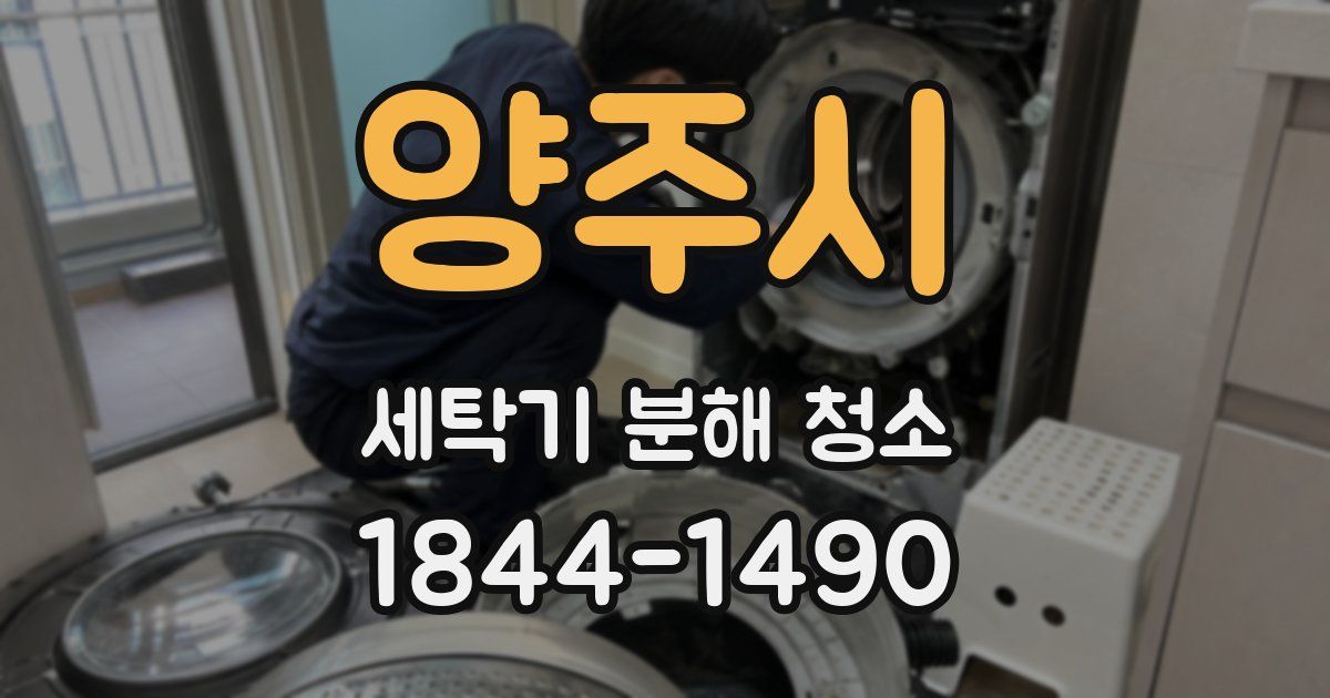 양주시 세탁기 분해 청소