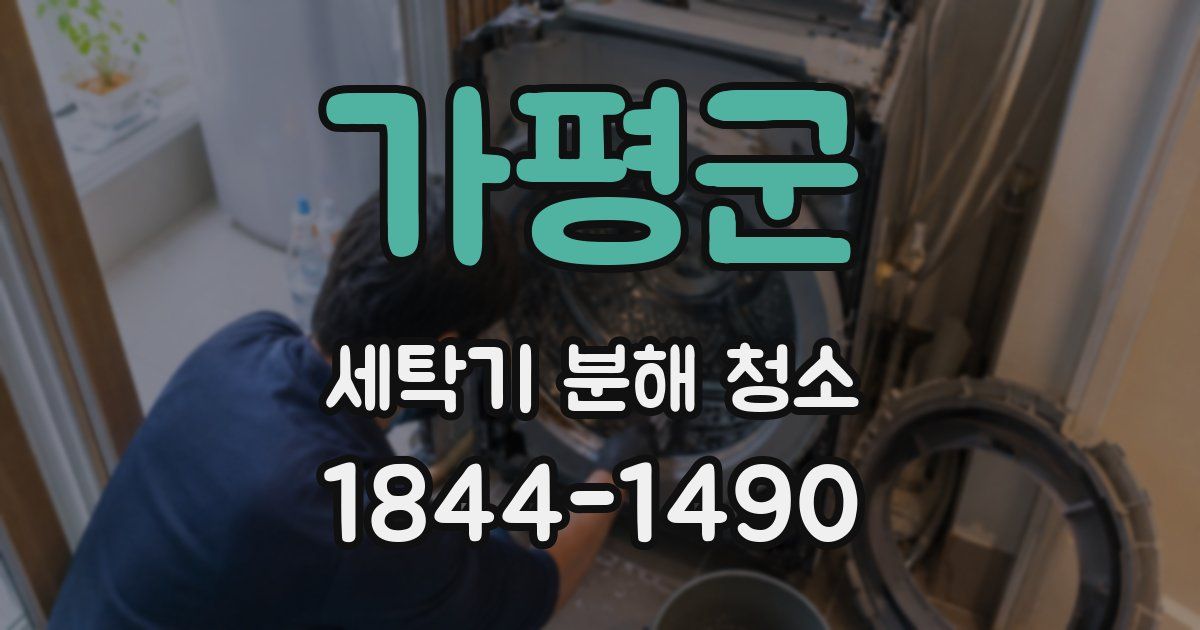 가평군 세탁기 분해 청소