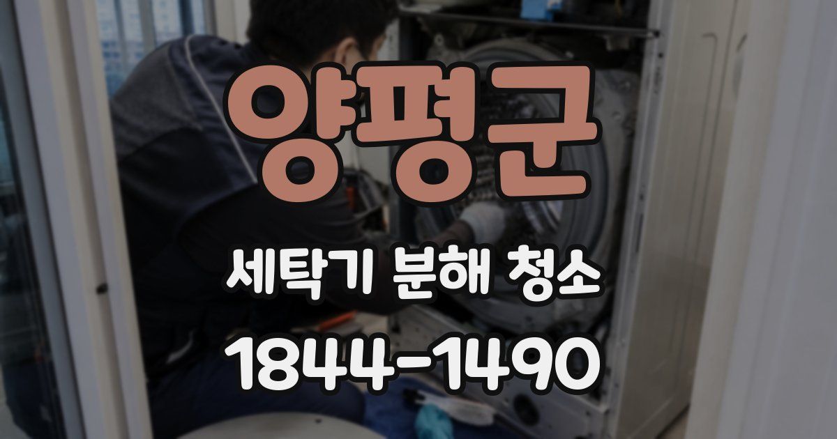 양평군 세탁기 분해 청소