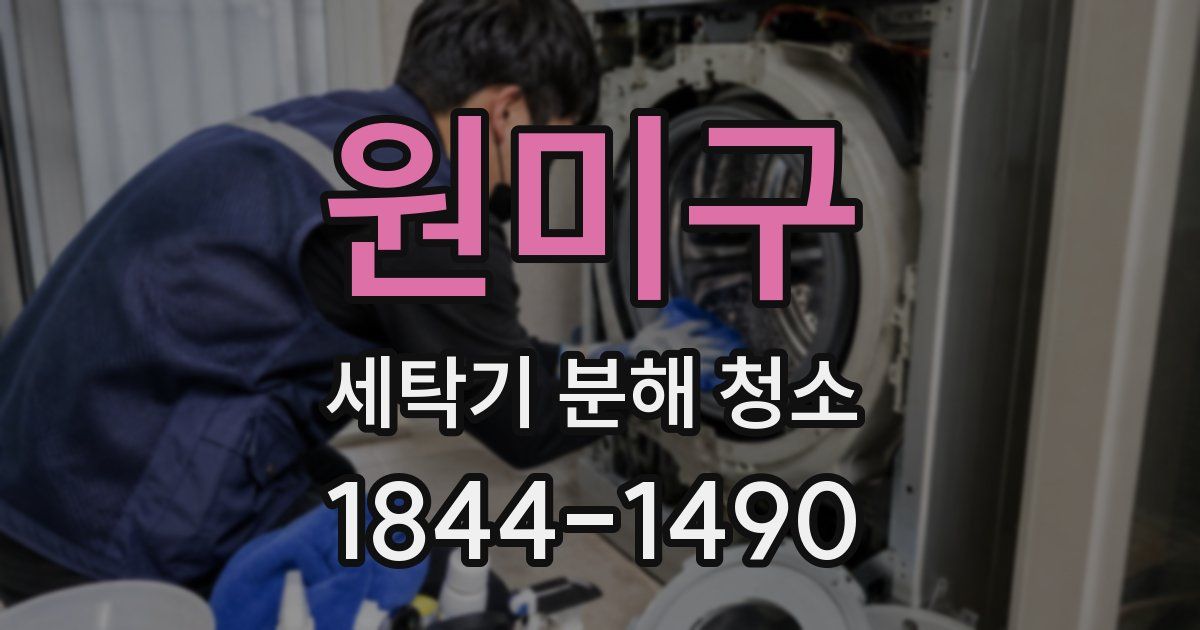 원미구 세탁기 분해 청소