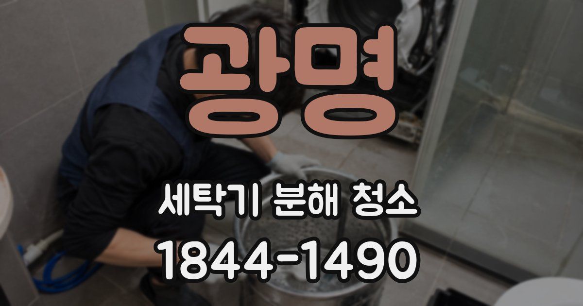 광명 세탁기 분해 청소