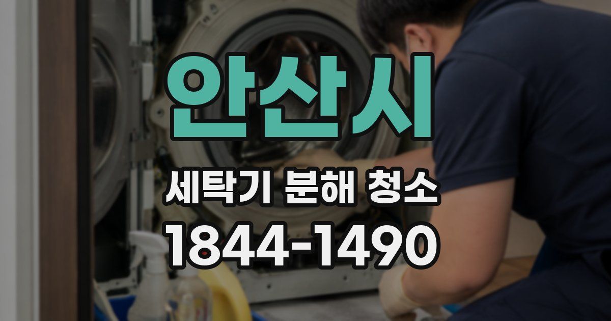 안산시 세탁기 분해 청소