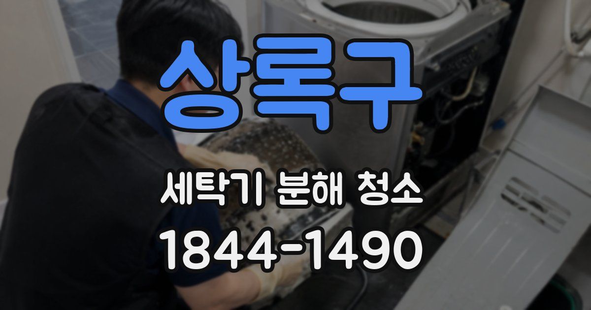 상록구 세탁기 분해 청소