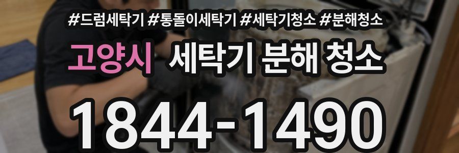고양시 세탁기 분해 청소