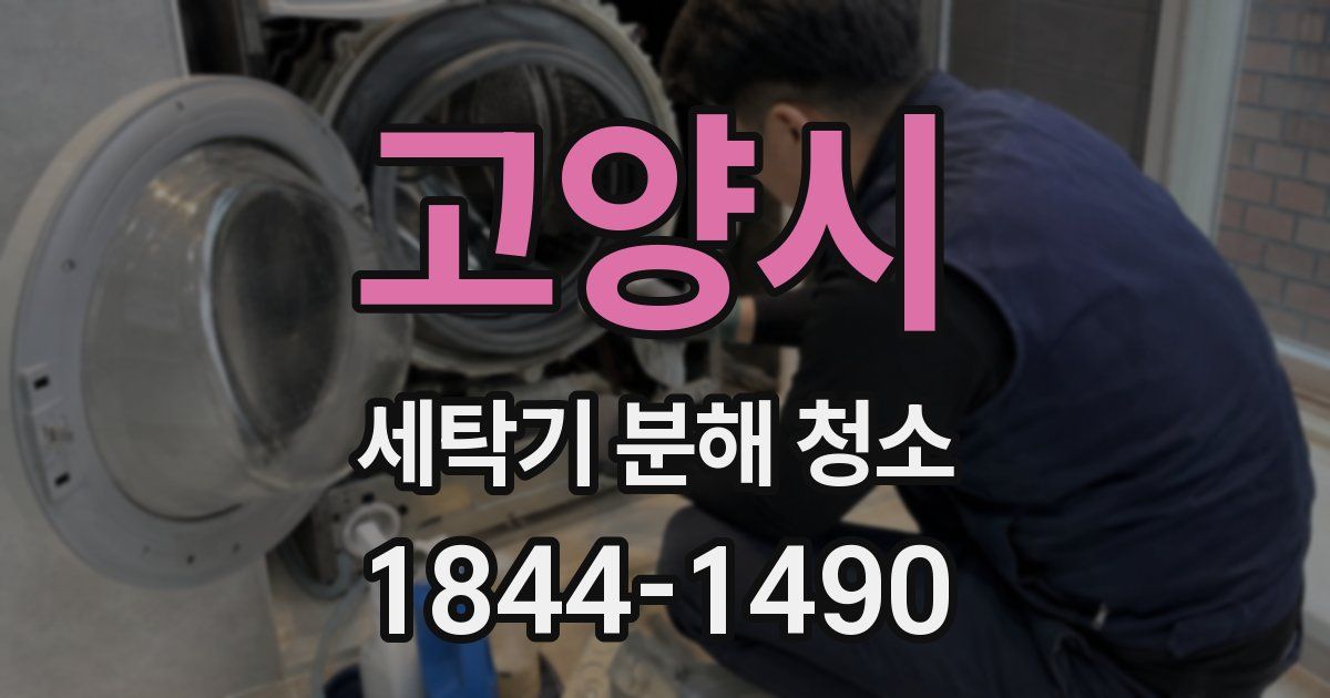 고양시 세탁기 분해 청소