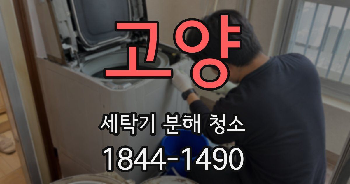 고양 세탁기 분해 청소