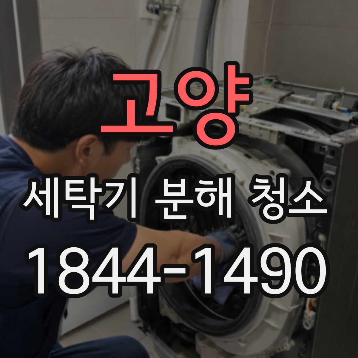 고양 세탁기 분해 청소