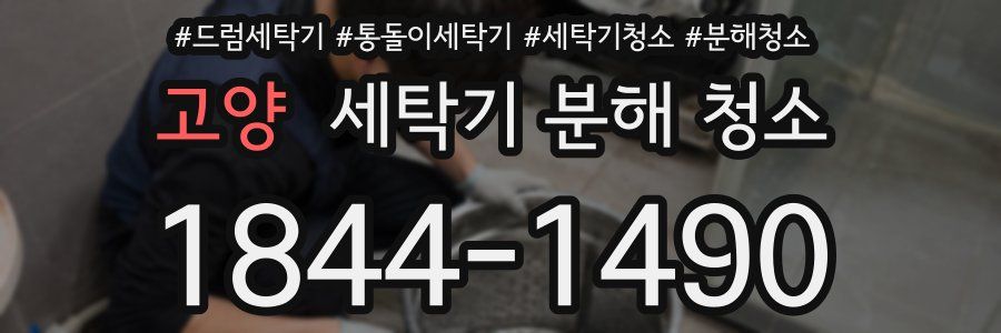 고양 세탁기 분해 청소