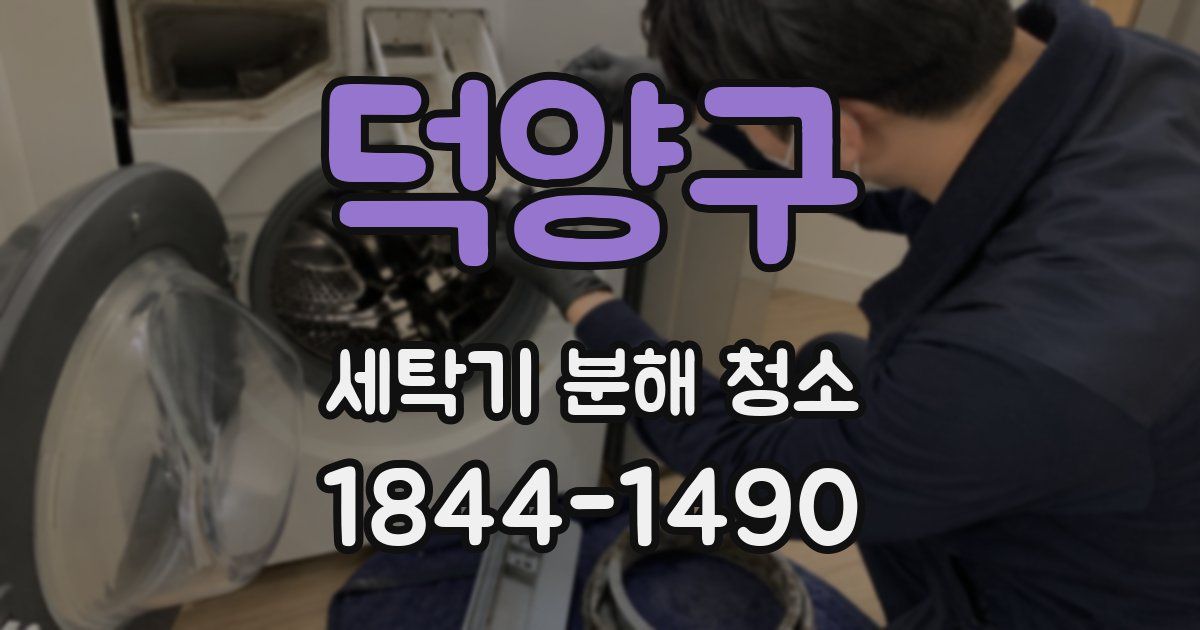 덕양구 세탁기 분해 청소