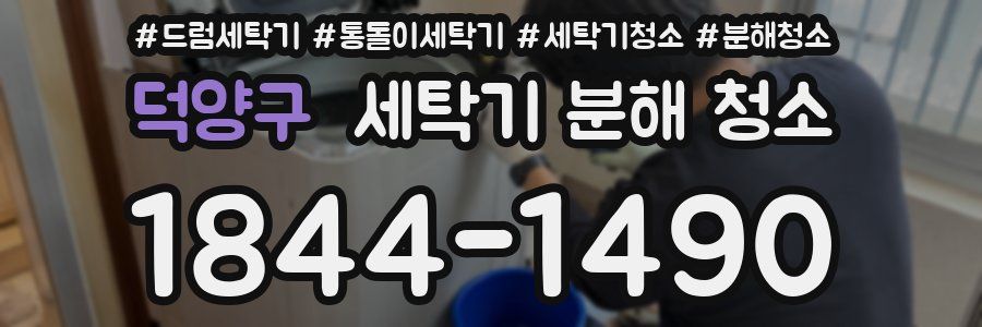 덕양구 세탁기 분해 청소