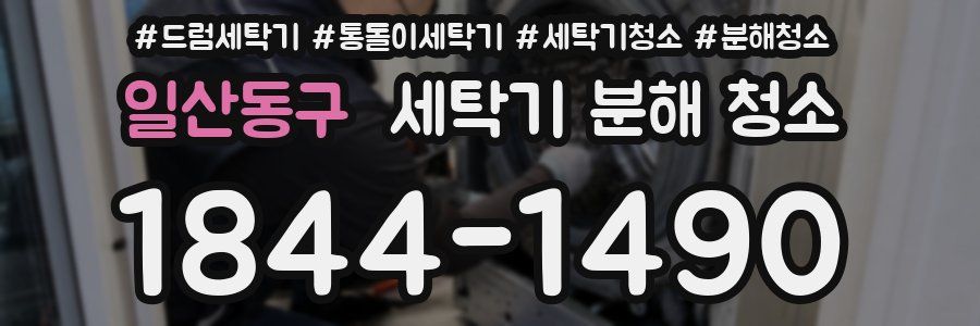일산동구 세탁기 분해 청소