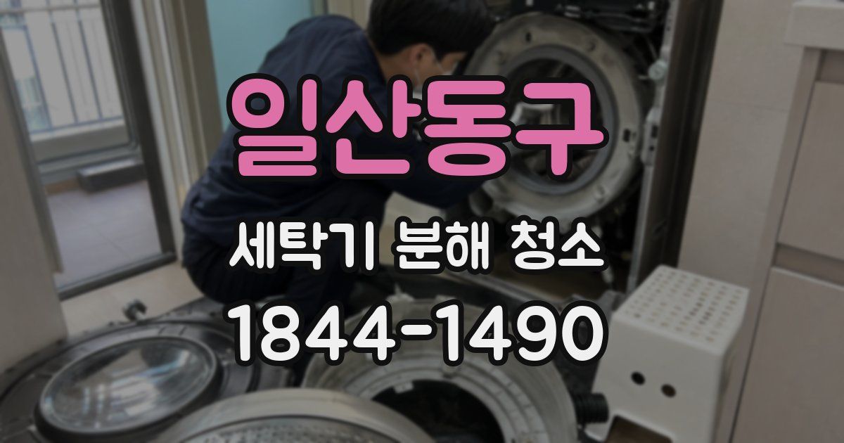 일산동구 세탁기 분해 청소