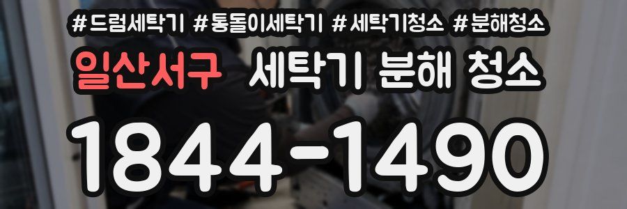 일산서구 세탁기 분해 청소