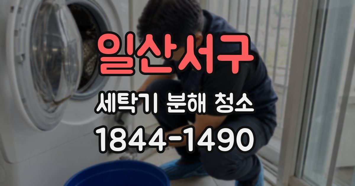 일산서구 세탁기 분해 청소