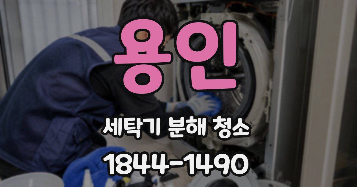 용인 세탁기 분해 청소