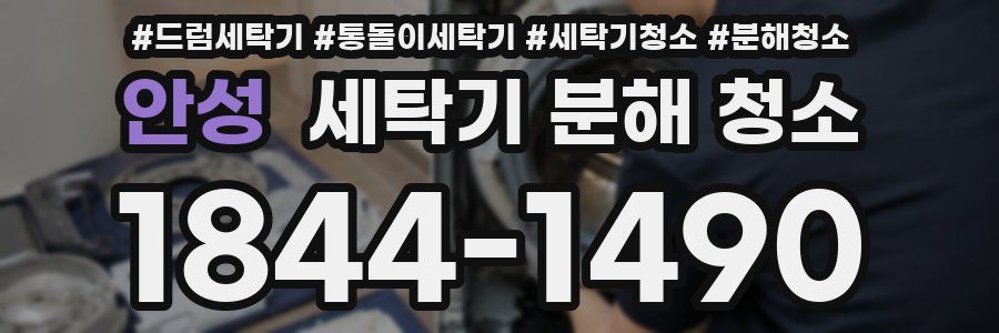 안성 세탁기 분해 청소