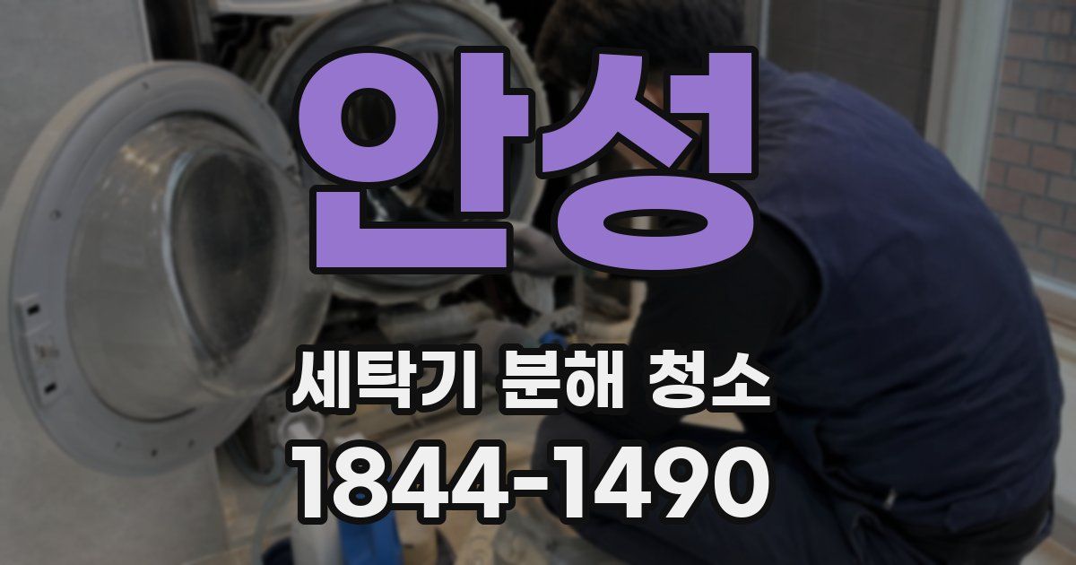 안성 세탁기 분해 청소