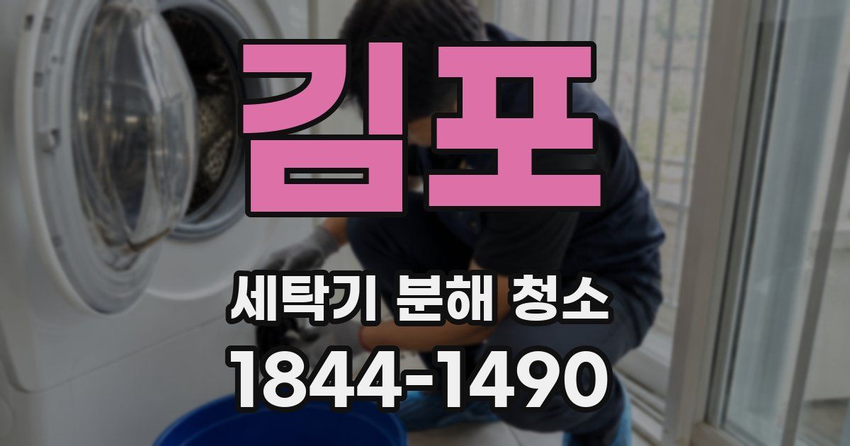 김포 세탁기 분해 청소