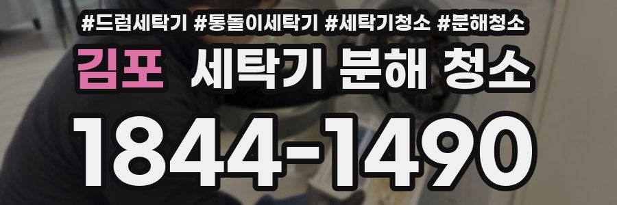 김포 세탁기 분해 청소