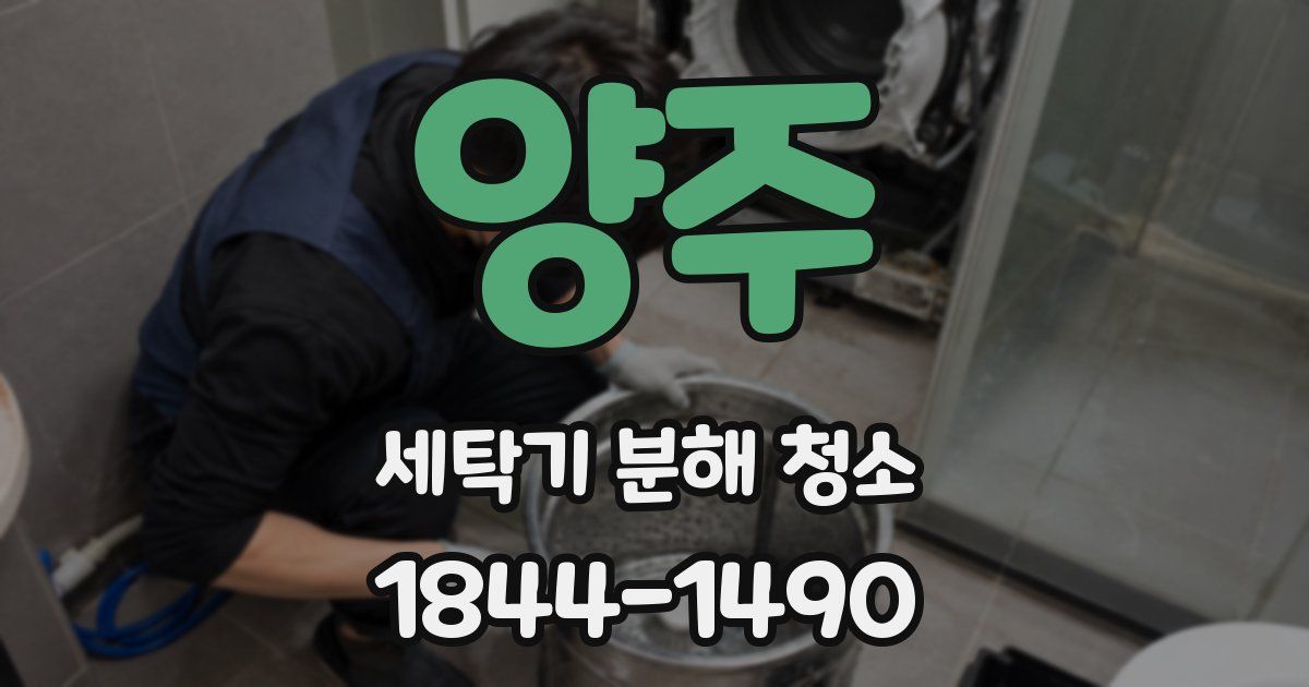 양주 세탁기 분해 청소