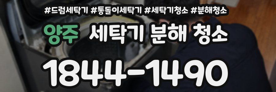 양주 세탁기 분해 청소