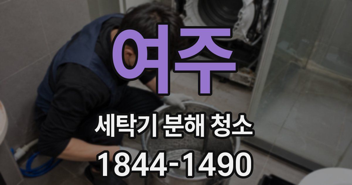 여주 세탁기 분해 청소